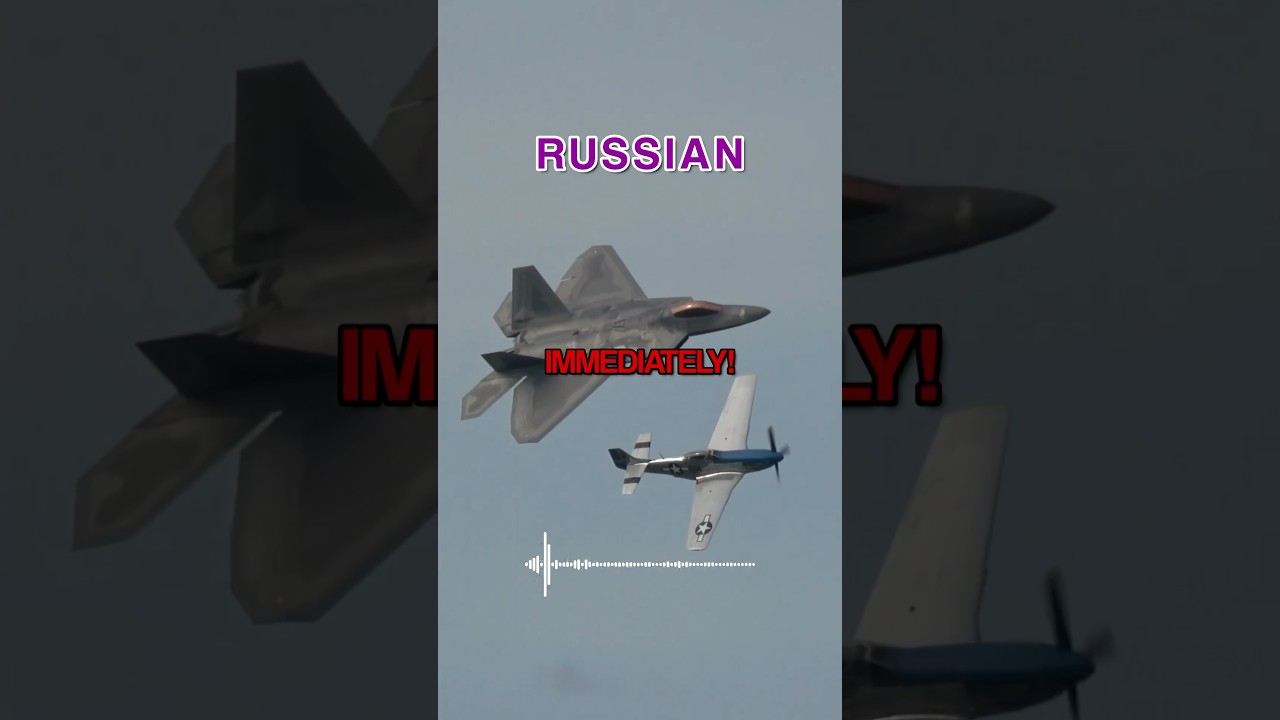 Russian Veteran TROLLS F-22 😂