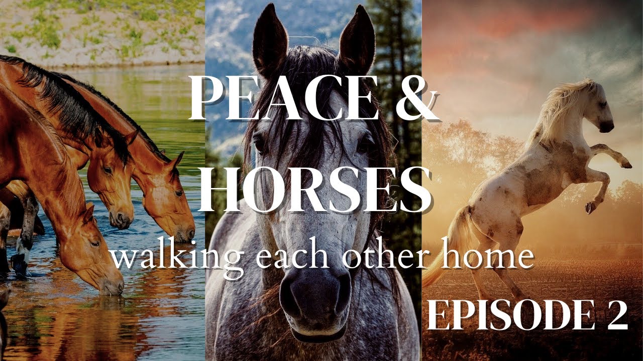 Peace & Horses Episode 2 Presence & Worlds YouTube