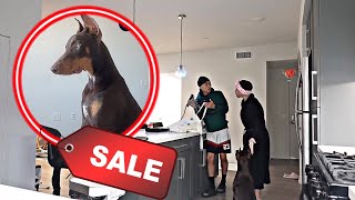 I SOLD OUR PUPPY PRANK ON GIRLFRIEND! *GONE WRONG*