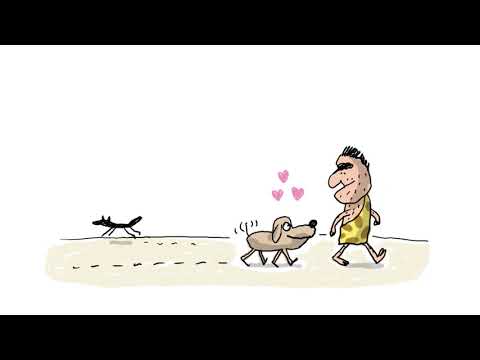 Vidéo: Un chien de chasse est-il hypoallergénique ?