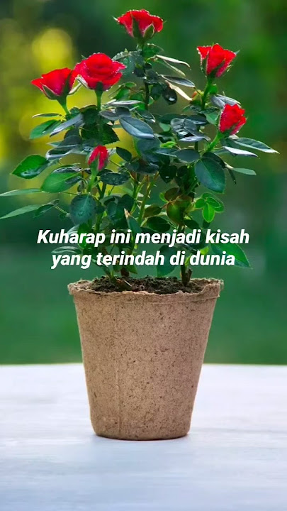 Terindah Di Dunia-Arsy Widianto ft. Tiara Andini  #arsywidianto #tiaraandini #artisemestinyacinta