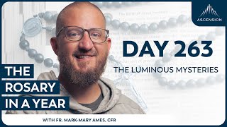 Day 263 The Luminous Mysteries The Rosary In A Year With Fr. Mark-Mary Ames