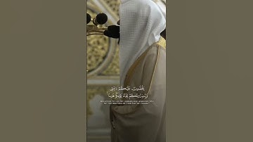 [يا معشر الجن والإنس ألم يأتكم رسل منكم يقصُّون عليكم آياتي]