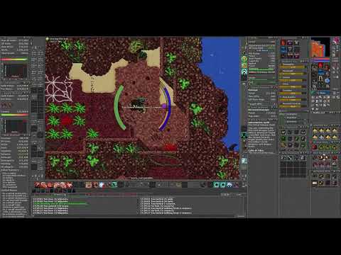 ⚔️ Tibia hunt - Hive Stage 2 - Level 163 Monk ⚔️
