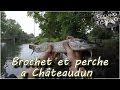 Brochet et perche en street fishing a chteaudun