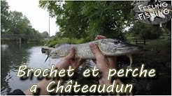 Brochet et perche en street fishing a Châteaudun