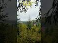Дуже холодно і мокро / Погода в Буковелі / Bukovel weather #morningmusic #ukrainianmusic #folkmusic