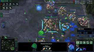 ORACLE TIMING | STARCRAFT 2 LOTV