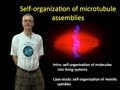 Tim Mitchison (Harvard) Part 1: Self-organization of microtubule assemblies