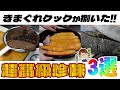 【切り抜き】超高級珍味を自分で作っちゃう！？これぞきまぐれクック！