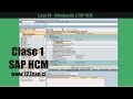 4.1 Curso HCM | Clase 1 Introducción a SAP HCM  - Consultor SAP