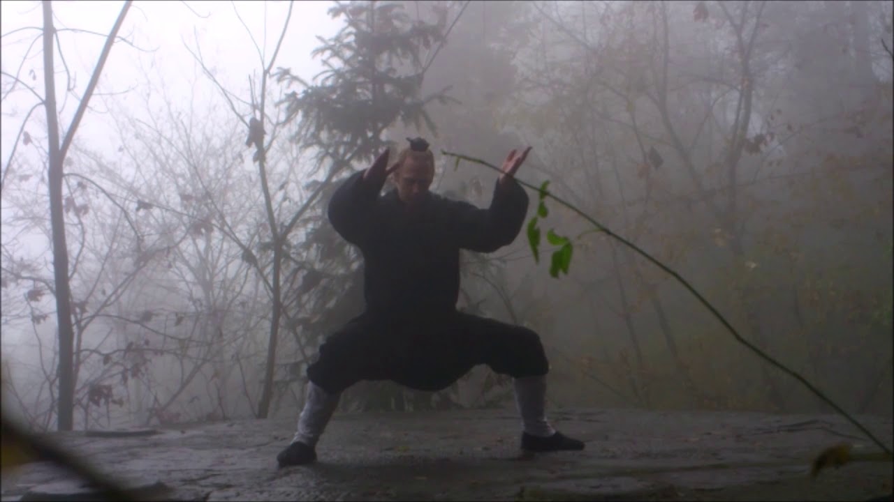 INSIDE WUDANG PAI : Wudang Doku - Part 2 -  Daoist Secret Practices