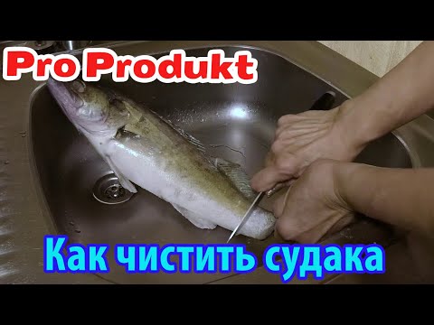 Как чистить судака