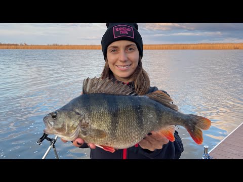 Окуні монстри існують і вони живуть в Херсоні! Delta bass - серія 1