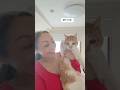 福を呼ぶ招き猫🐈❤️💫オス猫24歳