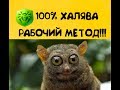 DrWeb Халявный ключ 100% Рабочий вариант!