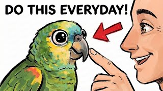 Do These 7 Things Daily And Your Parrot Will Know You LOVE Them