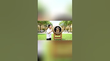 Capybara chơi trốn tìm ở trường #trending #capybara #funny #ytshorts #ai