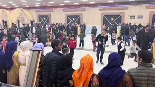 Ahmet Altun Şevko Halayi