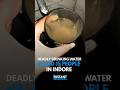 Contaminated Drinking Water Kills 15 | Indore Water Crisis