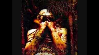Anaal nathrakh-When humanity is cancer 02