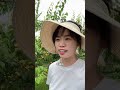 杏子大家吃得都甜到心里了吧 杏子大家吃得都甜到心里了吧