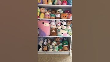 Showing my collection to someone new 😂 #squishmallows #collector #squish #collection