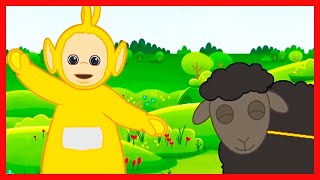 Baa Baa Black Sheep The Teletubbies Wildbrain Music For Kids