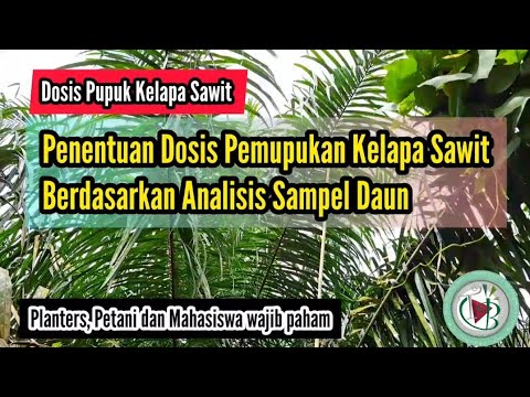 Penentuan Dosis Pemupukan Kelapa Sawit Berdasarkan Analisis Sampel Daun
