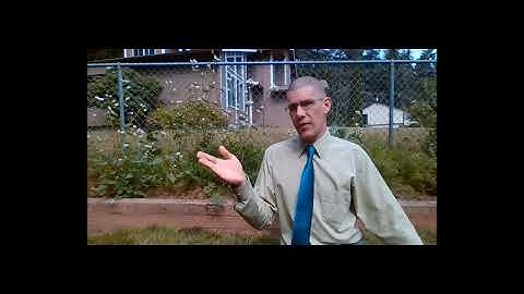 3 Video  Descriptive Statistics