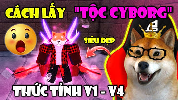 Hướng Dẫn Chi Tiết Cách Lấy Tộc Cyborg Và Thức Tỉnh Lên V4 Trong Blox Fruit | Roblox