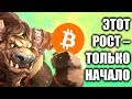 Биткойн: это только начало роста! Данные блокчейн!