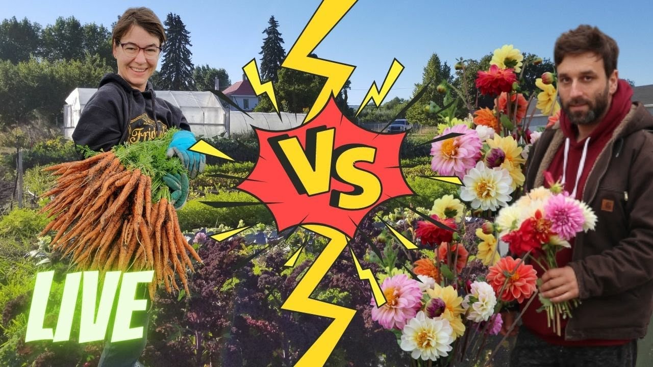 Team Veggies Vs Team Flowers | Live Showdown - YouTube