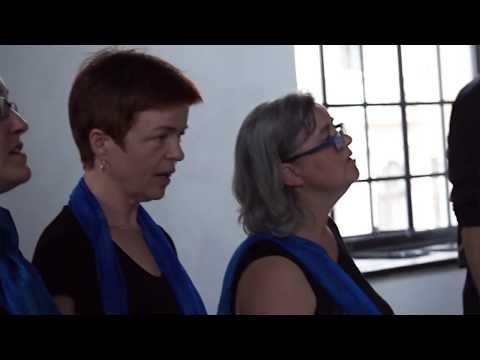 Cantus Novus Wien: