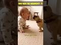 The cutest argument you'll see today 👶🐕 #shorts #cutebaby #cuteanimals #viral