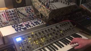 disting mk4 - Buchla integration demo