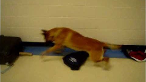 Narcotics Scent Logix