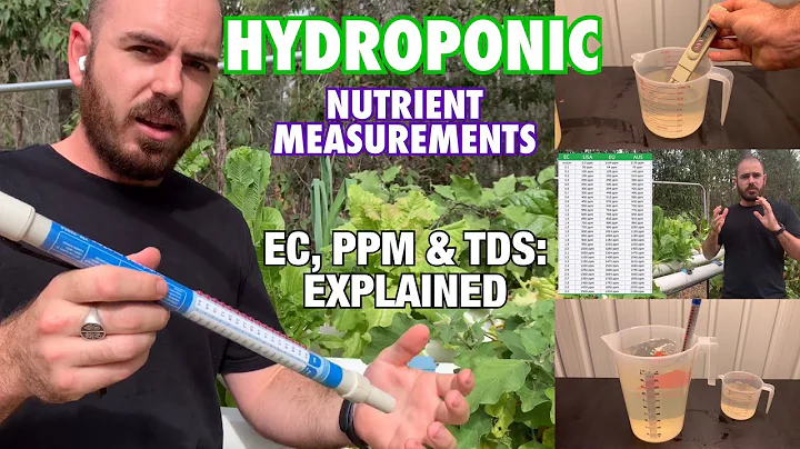 Hydroponic Nutrient Measurements. EC, PPM and TDS: Explained