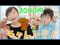 ★ゲームセンターで3000円分チャレンジ！★