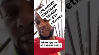 Whatsapp Bulk Sender Software Download Lifetime Access: Ultimate Guide