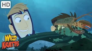 Wild Kratts - How to Activate Your Lobster Creature Powers | Kids Videos