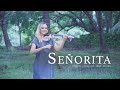 Señorita - Shawn Mendes, Camila Cabello (violin cover by Ana Soina)