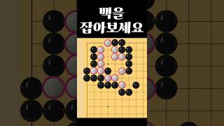 쉬운 바둑 사활 - 5초 안에 풀면 유단자