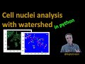 35 - Cell Nuclei analysis in Python using watershed segmentation