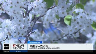 Seasonal allergies and pollen