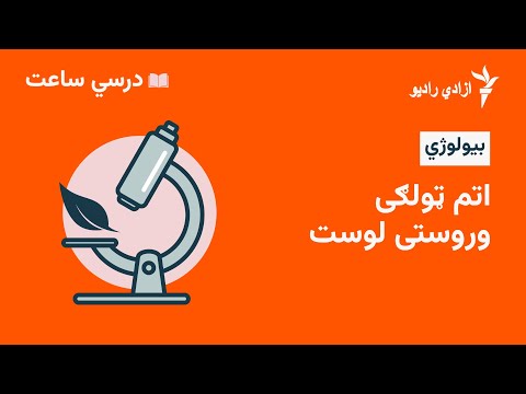 درسي ساعت بیولوژی مضمون اتم ټولګي وروستی لوست