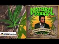 Powerman - Generation of Vipers [Natural Vibes Riddim | Official Audio 2024]