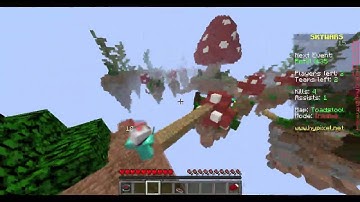 Hypixel - Flyhack in SkyWars
