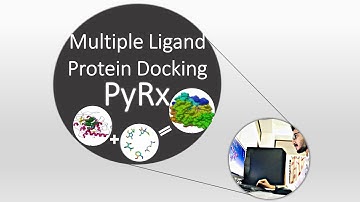 Multiple Ligand Molecular Docking by using PyRx  tools Bangla tutorial | Dawn of Bioinformatics