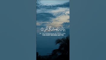 #ياسر_الدوسري #yasseraldossary #راحة_نفسية #تلاوات #اكسبلور #المصحف #قران_كريم